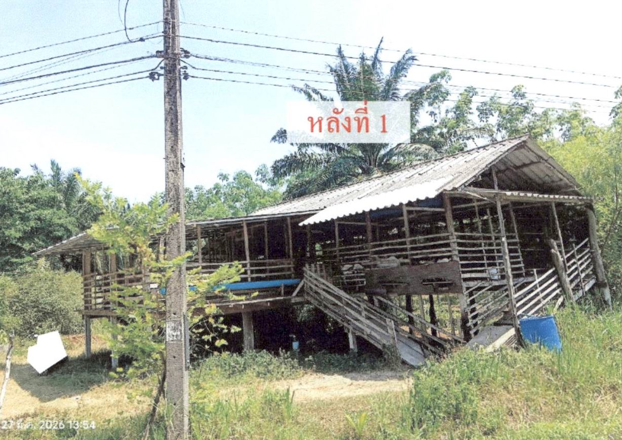 รูปที่ดินพร้อมสิ่งปลูกสร้าง เกาะกลาง เกาะลันตา กระบี่