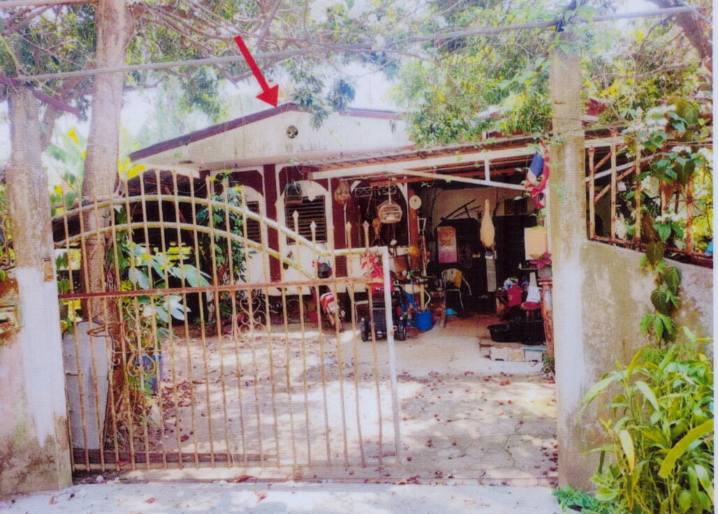 รูปที่ดินพร้อมสิ่งปลูกสร้าง แม่จัน แม่จัน เชียงราย
