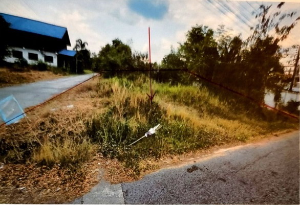 รูปที่ดินว่างเปล่า เมืองปัก ปักธงชัย นครราชสีมา
