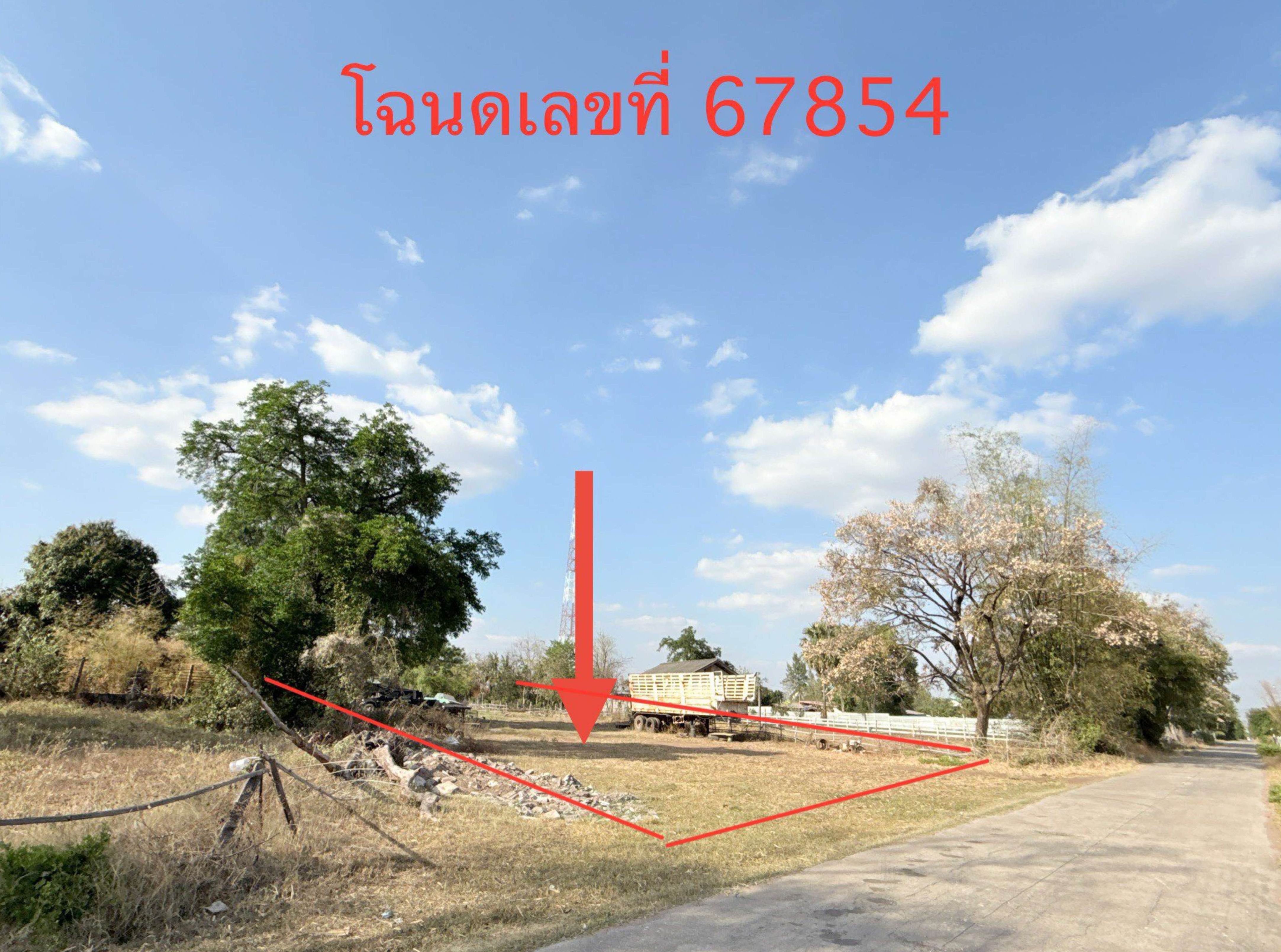 รูปที่ดินว่างเปล่า ดอนชมพู โนนสูง นครราชสีมา