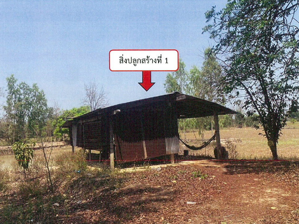 รูปที่ดินพร้อมสิ่งปลูกสร้าง เนินขี้เหล็ก ลาดยาว นครสวรรค์