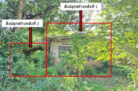 รูปที่ดินพร้อมสิ่งปลูกสร้าง เวียง เทิง เชียงราย