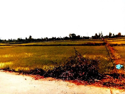 รูปที่ดินว่างเปล่า เขวา เมืองมหาสารคาม มหาสารคาม