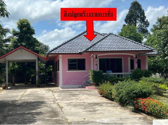 รูปที่ดินพร้อมสิ่งปลูกสร้าง หนองผือ จตุรพักตรพิมาน ร้อยเอ็ด