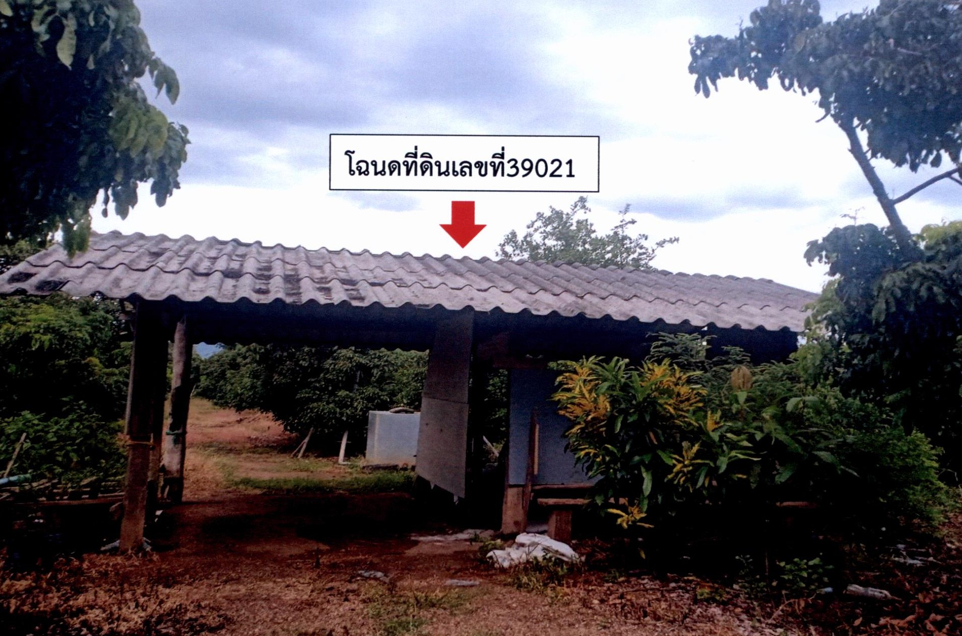 รูปที่ดินพร้อมสิ่งปลูกสร้าง หนองปลาสวาย บ้านโฮ่ง ลำพูน