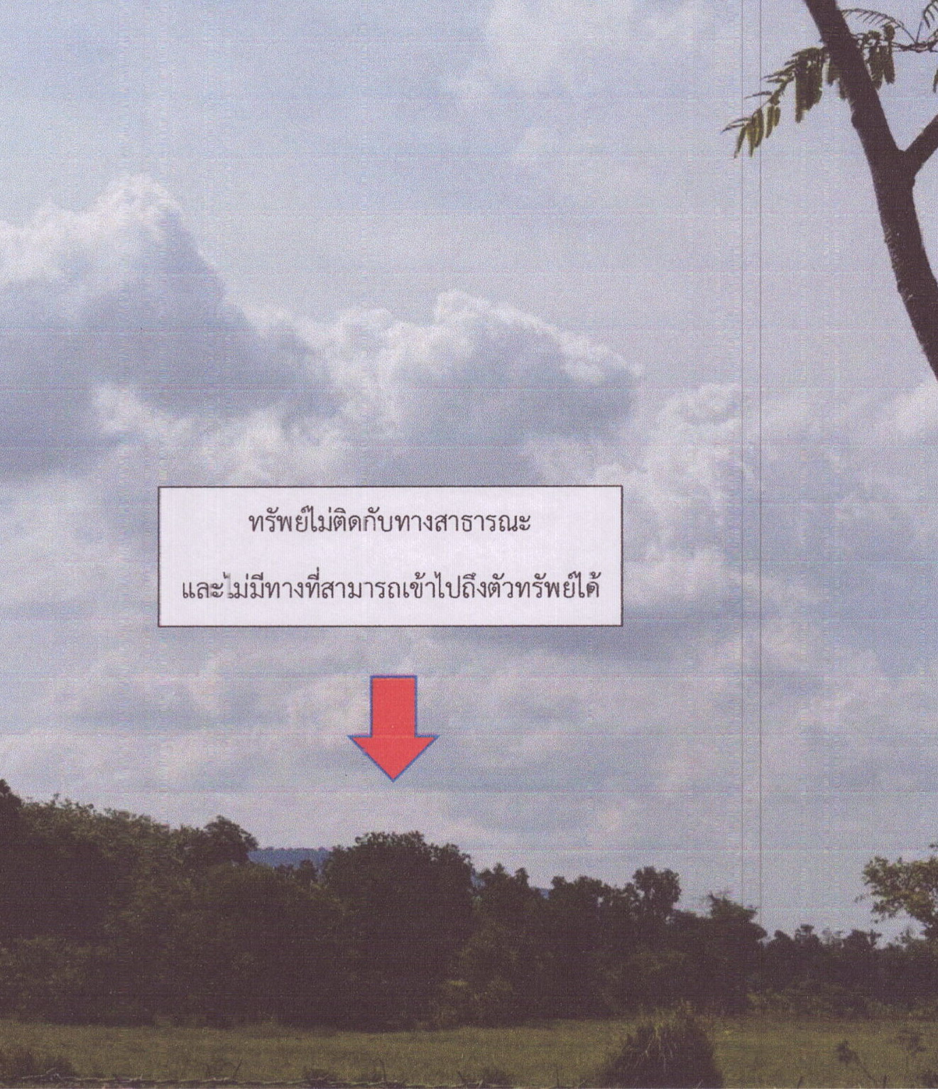 รูปที่ดินว่างเปล่า ทุ่งตำเสา หาดใหญ่ สงขลา