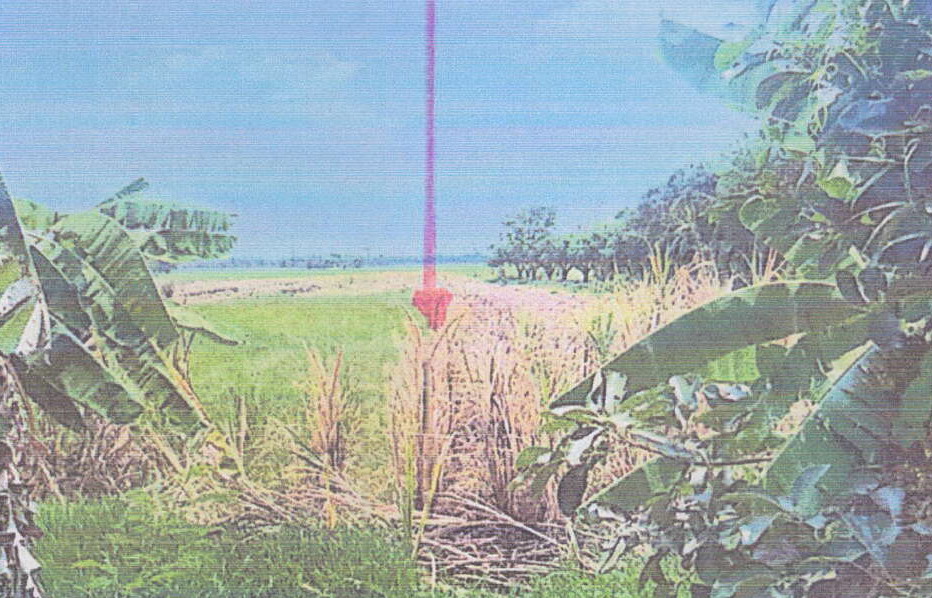 รูปที่ดินว่างเปล่า ส้มป่อย จัตุรัส ชัยภูมิ