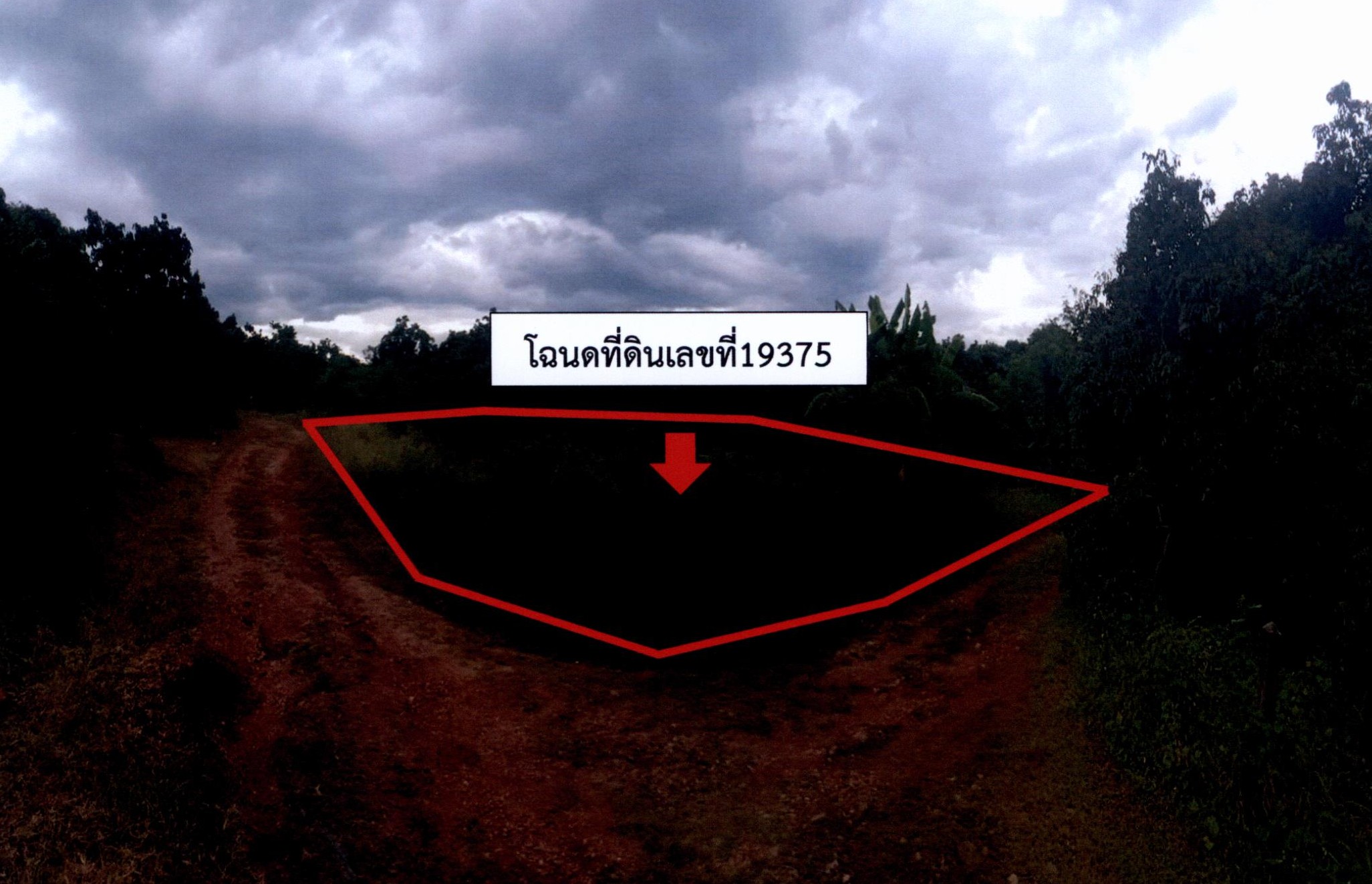 รูปที่ดินว่างเปล่า หนองปลาสวาย บ้านโฮ่ง ลำพูน