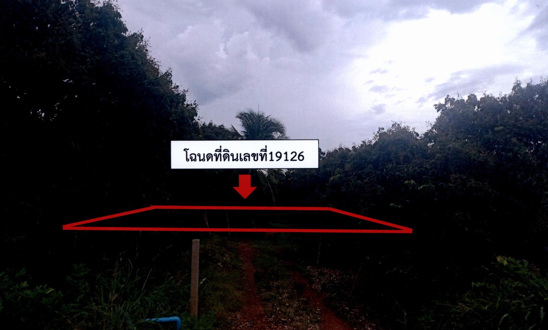รูปที่ดินว่างเปล่า หนองปลาสวาย บ้านโฮ่ง ลำพูน