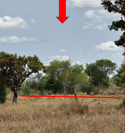 รูปที่ดินว่างเปล่า ยางโยภาพ ม่วงสามสิบ อุบลราชธานี