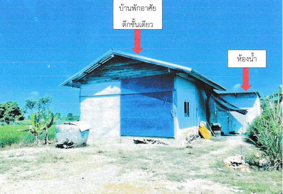 รูปที่ดินพร้อมสิ่งปลูกสร้าง ด่านช้าง บรรพตพิสัย นครสวรรค์