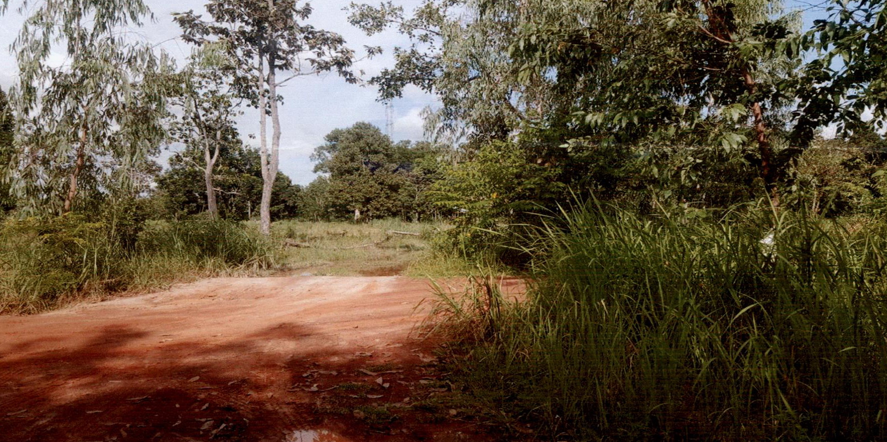 รูปที่ดินว่างเปล่า โนนสะอาด บ้านม่วง สกลนคร