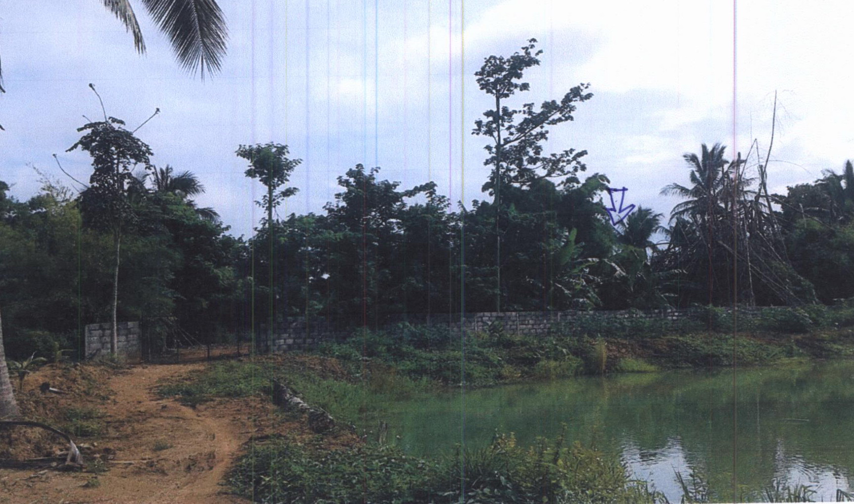 รูปที่ดินว่างเปล่า นาด้วง นาด้วง เลย