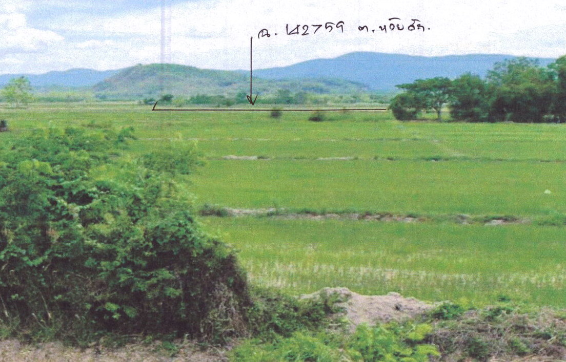 รูปที่ดินว่างเปล่า ห้วยสัก เมืองเชียงราย เชียงราย