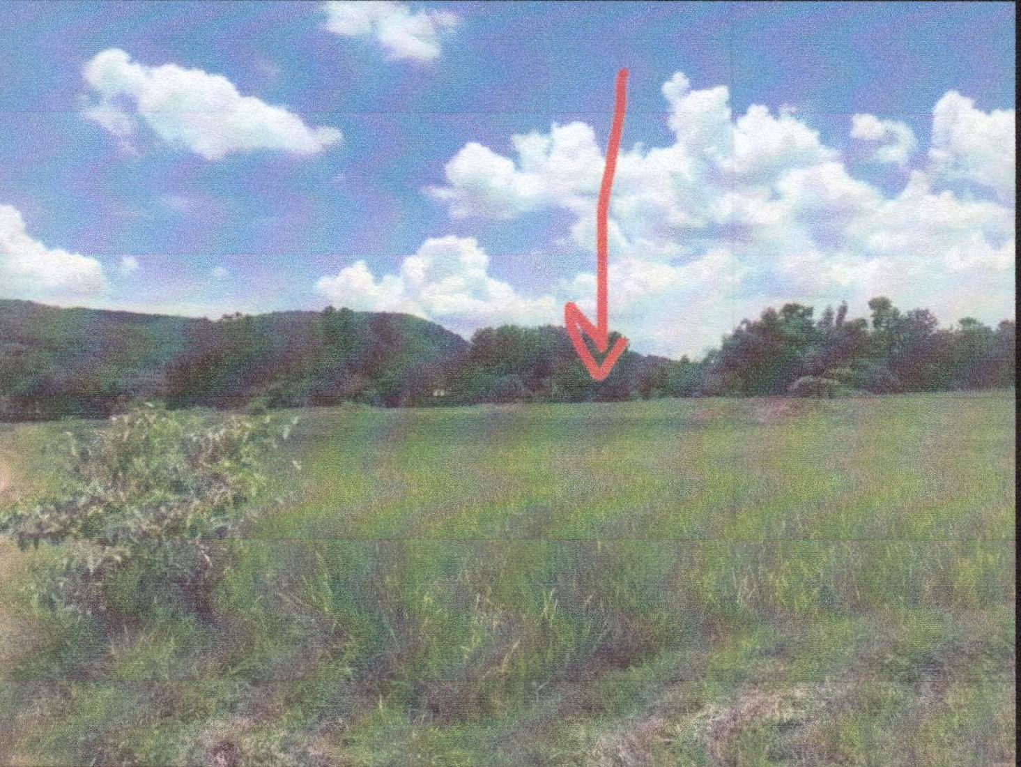 รูปที่ดินว่างเปล่า นาโป่ง เมืองเลย เลย