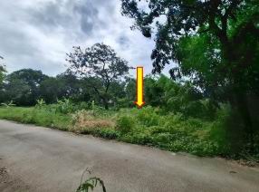 รูปที่ดินว่างเปล่า โตนด โนนสูง นครราชสีมา