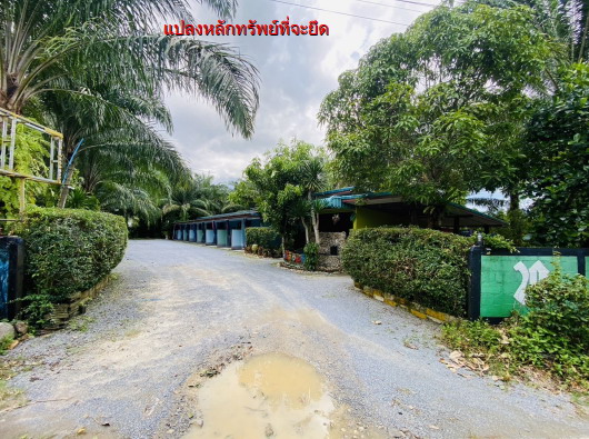 รูปที่ดินพร้อมสิ่งปลูกสร้าง ทอนหงส์ พรหมคีรี นครศรีธรรมราช