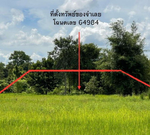 รูปที่ดินว่างเปล่า หนองคอนไทย ภูเขียว ชัยภูมิ