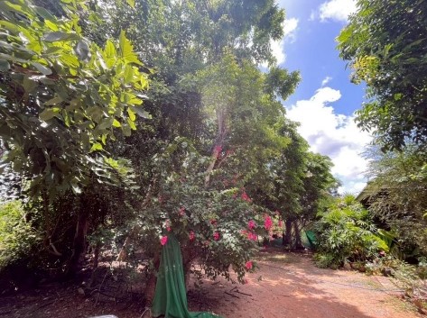 รูปที่ดินว่างเปล่า ชนบท ชนบท ขอนแก่น