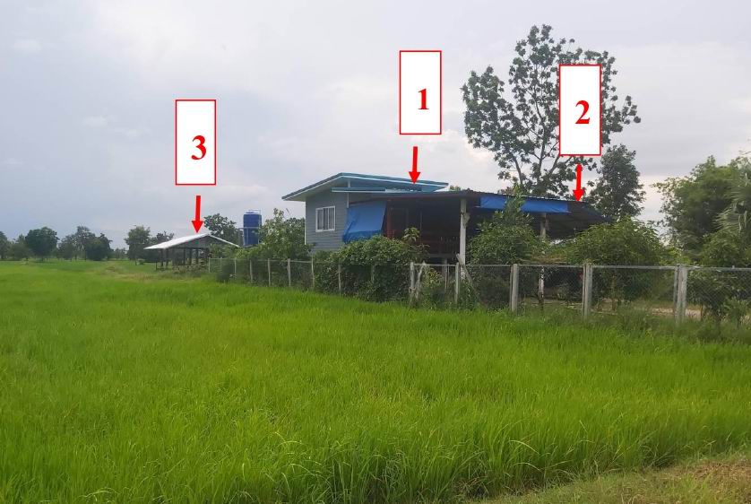 รูปที่ดินพร้อมสิ่งปลูกสร้าง นาหว้า ภูเวียง ขอนแก่น