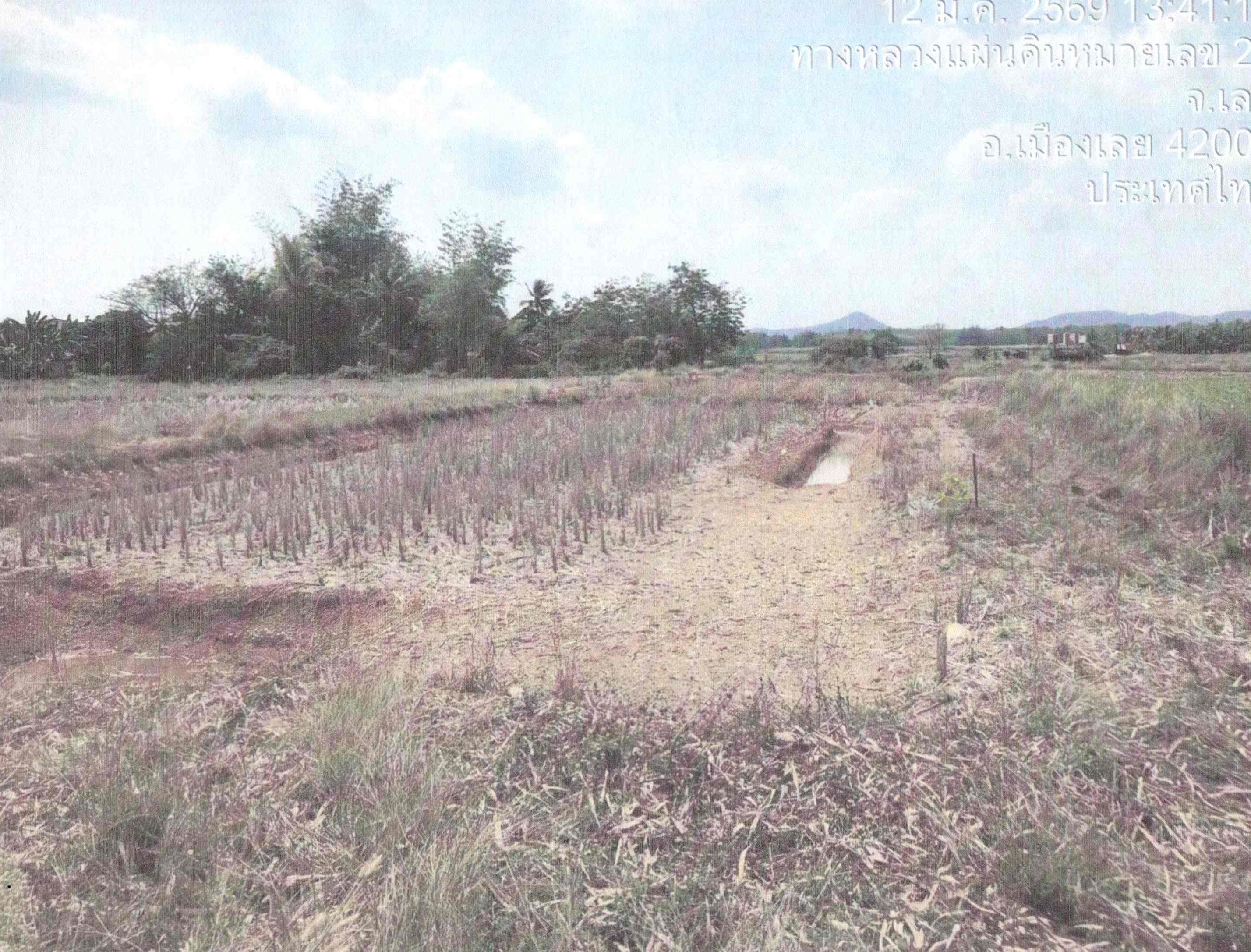 รูปที่ดินว่างเปล่า ชัยพฤกษ์ เมืองเลย เลย