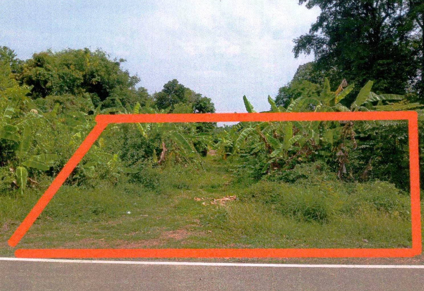 รูปที่ดินว่างเปล่า สีกาย เมืองหนองคาย หนองคาย
