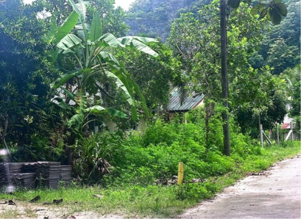รูปที่ดินว่างเปล่า คลองขุด เมืองสตูล สตูล