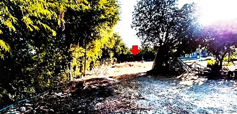 รูปที่ดินว่างเปล่า วัดแก้ว บางแพ ราชบุรี