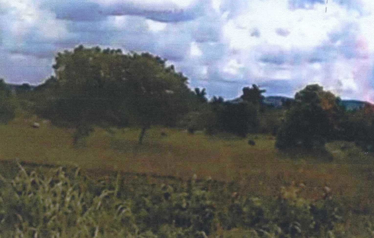 รูปที่ดินว่างเปล่า ปะโด มายอ ปัตตานี