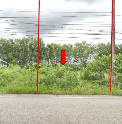 รูปที่ดินว่างเปล่า ทุ่งค่าย ย่านตาขาว ตรัง