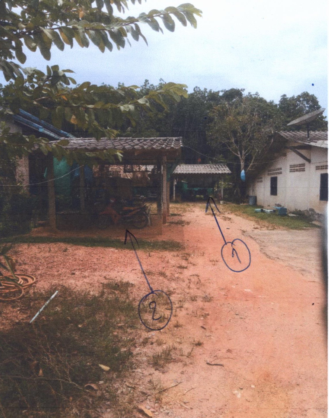 รูปที่ดินพร้อมสิ่งปลูกสร้าง สะท้อน นาทวี สงขลา