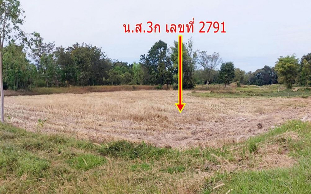 รูปที่ดินว่างเปล่า บุ่ง เมืองอำนาจเจริญ อำนาจเจริญ