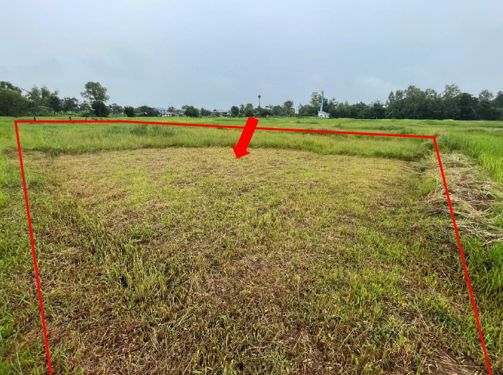 รูปที่ดินว่างเปล่า หมื่นศรี สำโรงทาบ สุรินทร์