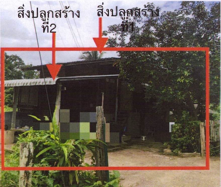 รูปที่ดินพร้อมสิ่งปลูกสร้าง ม่วงคำ พาน เชียงราย