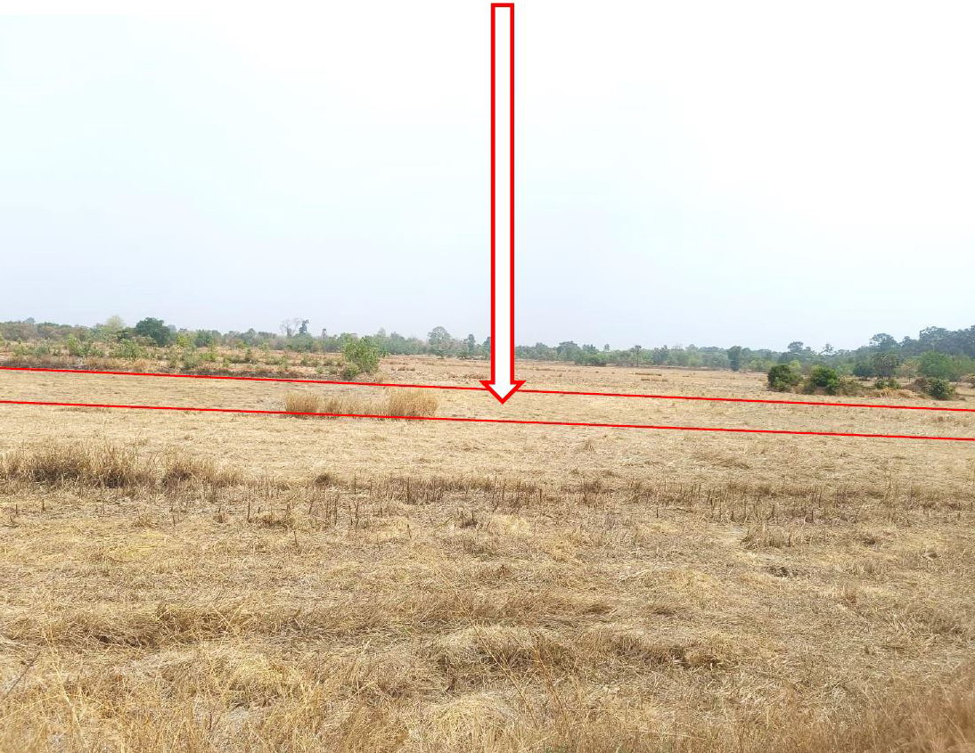 รูปที่ดินว่างเปล่า ดู่ทุ่ง เมืองยโสธร ยโสธร