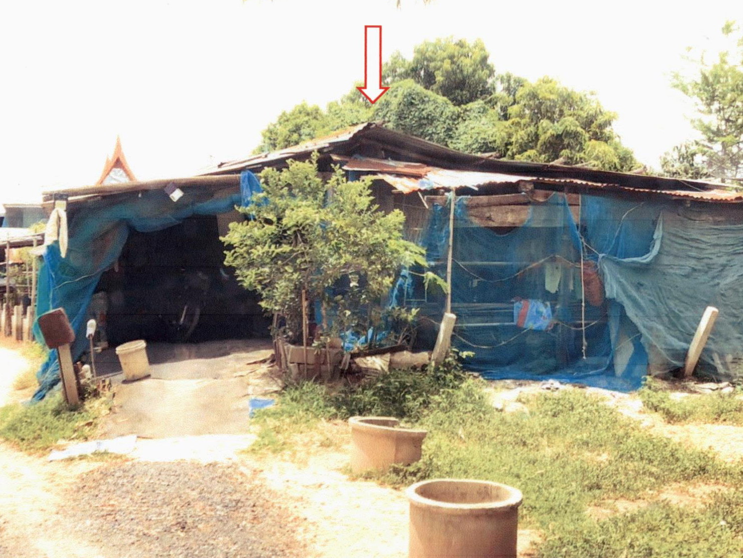 รูปที่ดินพร้อมสิ่งปลูกสร้าง ลาดชิด ผักไห่ พระนครศรีอยุธยา
