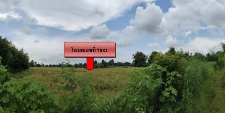 รูปที่ดินว่างเปล่า วังศาล วังโป่ง เพชรบูรณ์