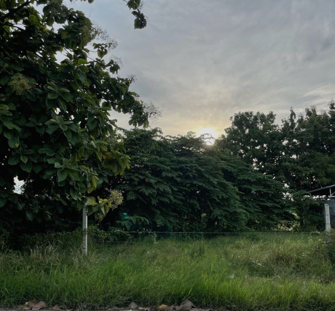 รูปที่ดินว่างเปล่า คลองเกตุ โคกสำโรง ลพบุรี