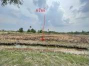 รูปที่ดินว่างเปล่า บึงอ้อ ขามทะเลสอ นครราชสีมา