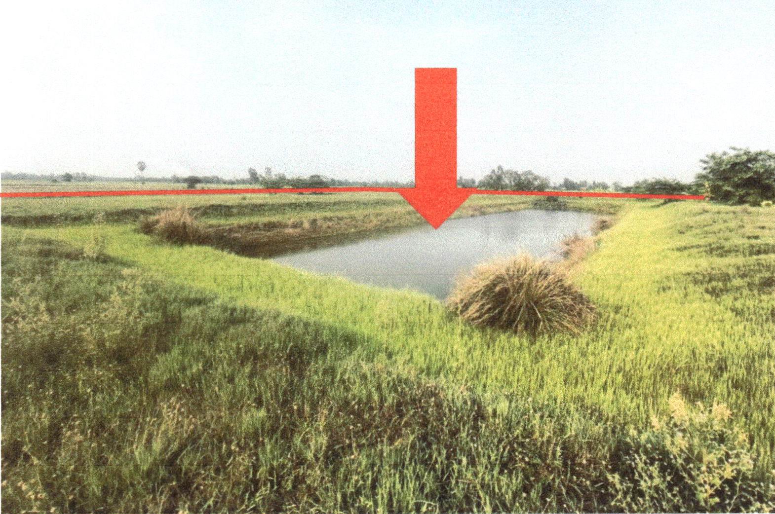 รูปที่ดินว่างเปล่า ท่าช้าง พรหมพิราม พิษณุโลก