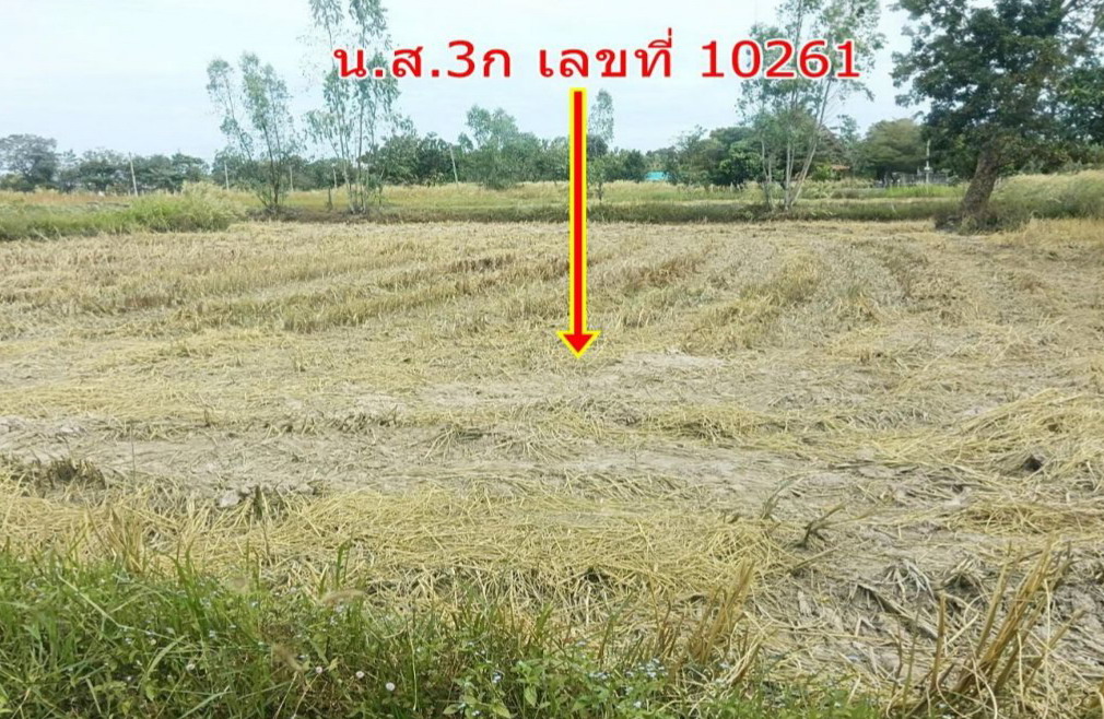 รูปที่ดินว่างเปล่า บุ่ง เมืองอำนาจเจริญ อำนาจเจริญ