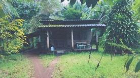 รูปที่ดินพร้อมสิ่งปลูกสร้าง นาชุมเห็ด ย่านตาขาว ตรัง