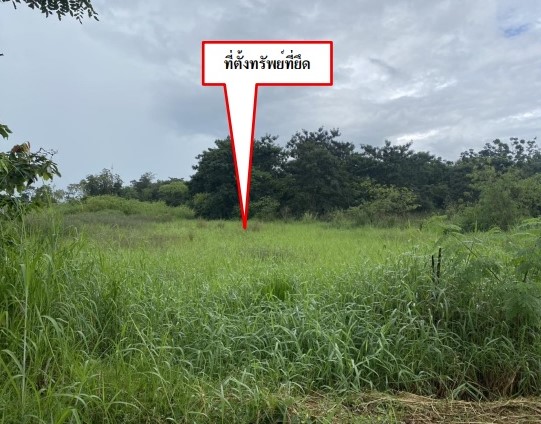 รูปที่ดินว่างเปล่า โอโล ภูเขียว ชัยภูมิ