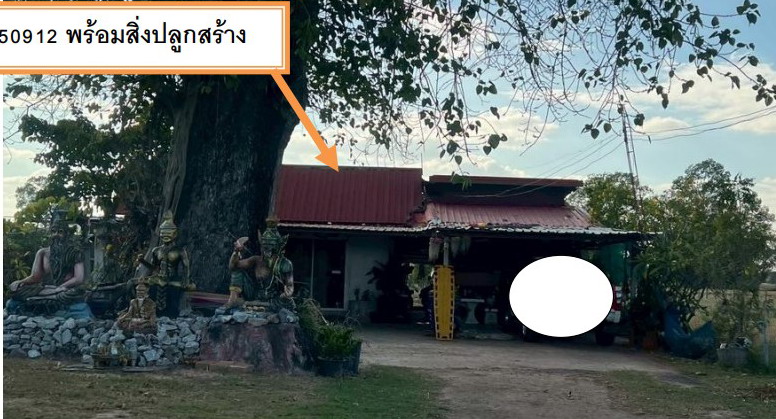 รูปที่ดินพร้อมสิ่งปลูกสร้าง หนองแวง เมืองร้อยเอ็ด ร้อยเอ็ด