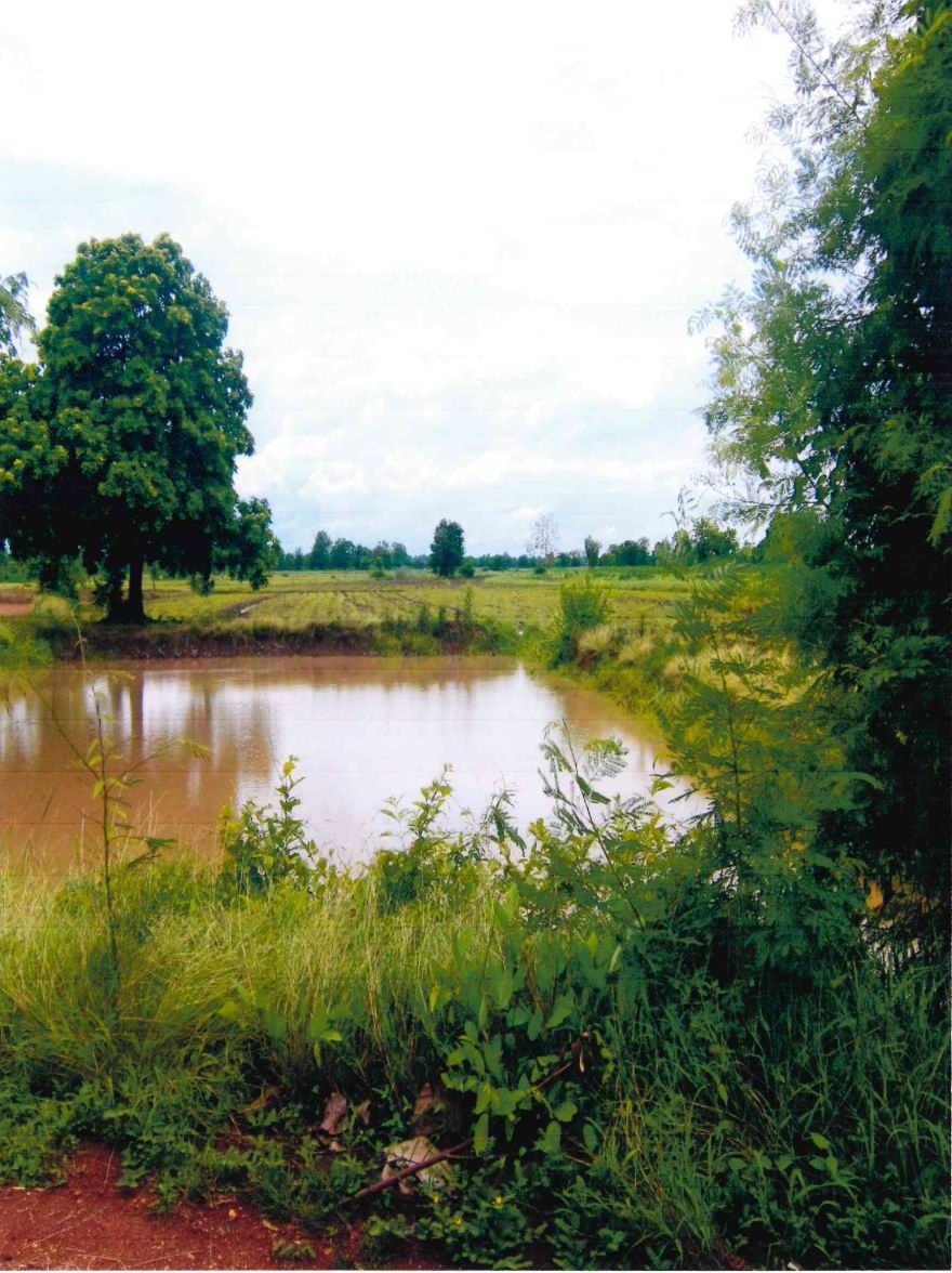 รูปที่ดินว่างเปล่า ทุ่งยางเมือง คีรีมาศ สุโขทัย