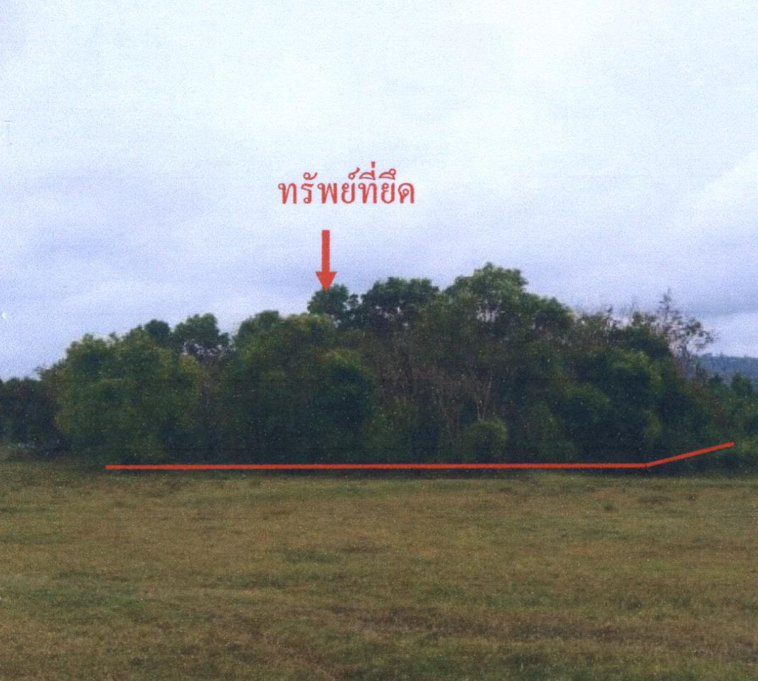 รูปที่ดินว่างเปล่า กายูบอเกาะ รามัน ยะลา