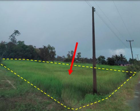รูปที่ดินว่างเปล่า ป่าโมง เดชอุดม อุบลราชธานี