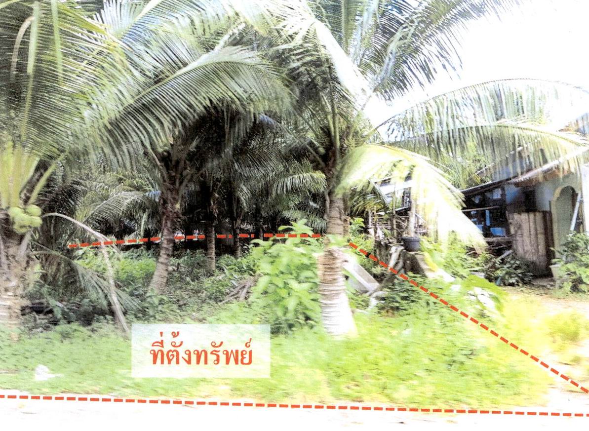 รูปที่ดินว่างเปล่า แหลมสัก อ่าวลึก กระบี่