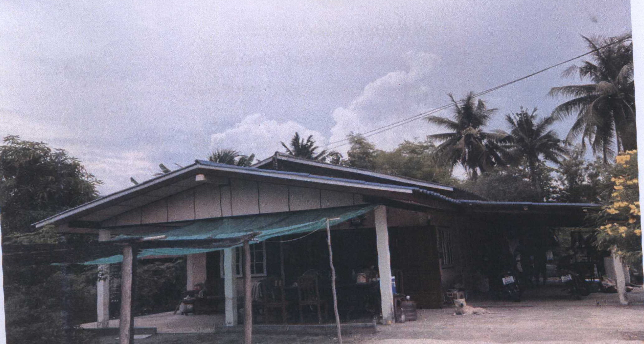 รูปที่ดินพร้อมสิ่งปลูกสร้าง บ้านไร่ ลาดยาว นครสวรรค์