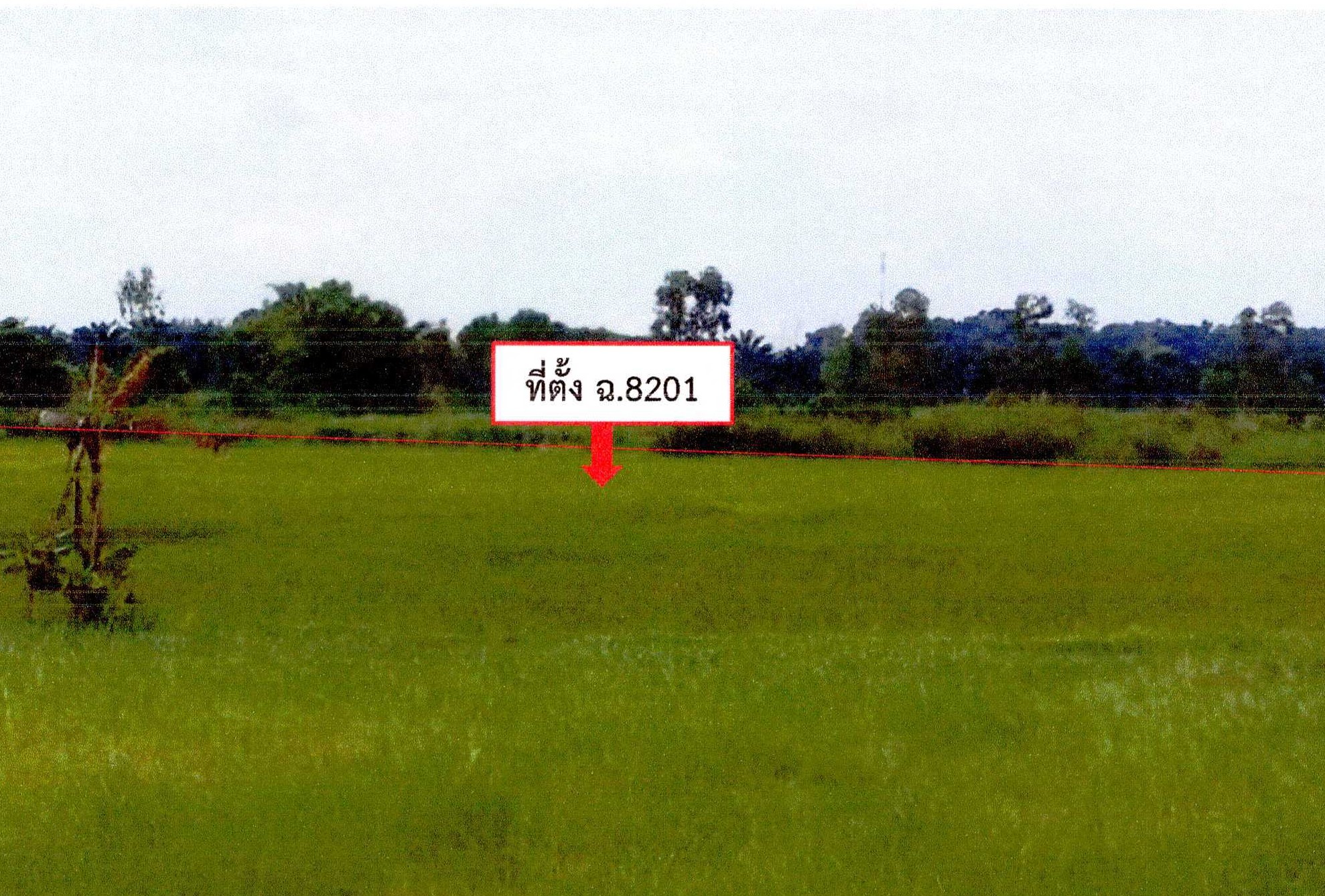รูปที่ดินว่างเปล่า หนองปลาปาก ศรีเชียงใหม่ หนองคาย